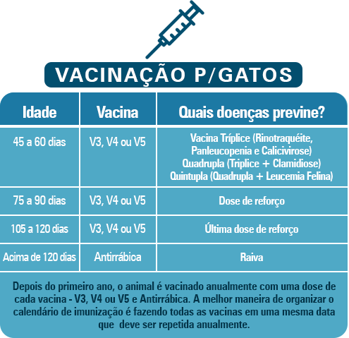 Vacinação para gatos