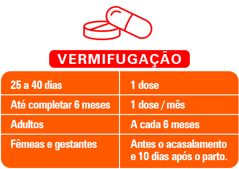 Image vermifucação gatos